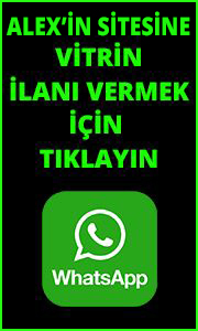 alexvitrin